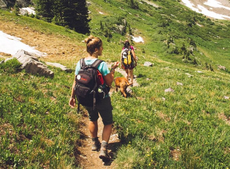 La randonnée et ses bienfaits pour la santé